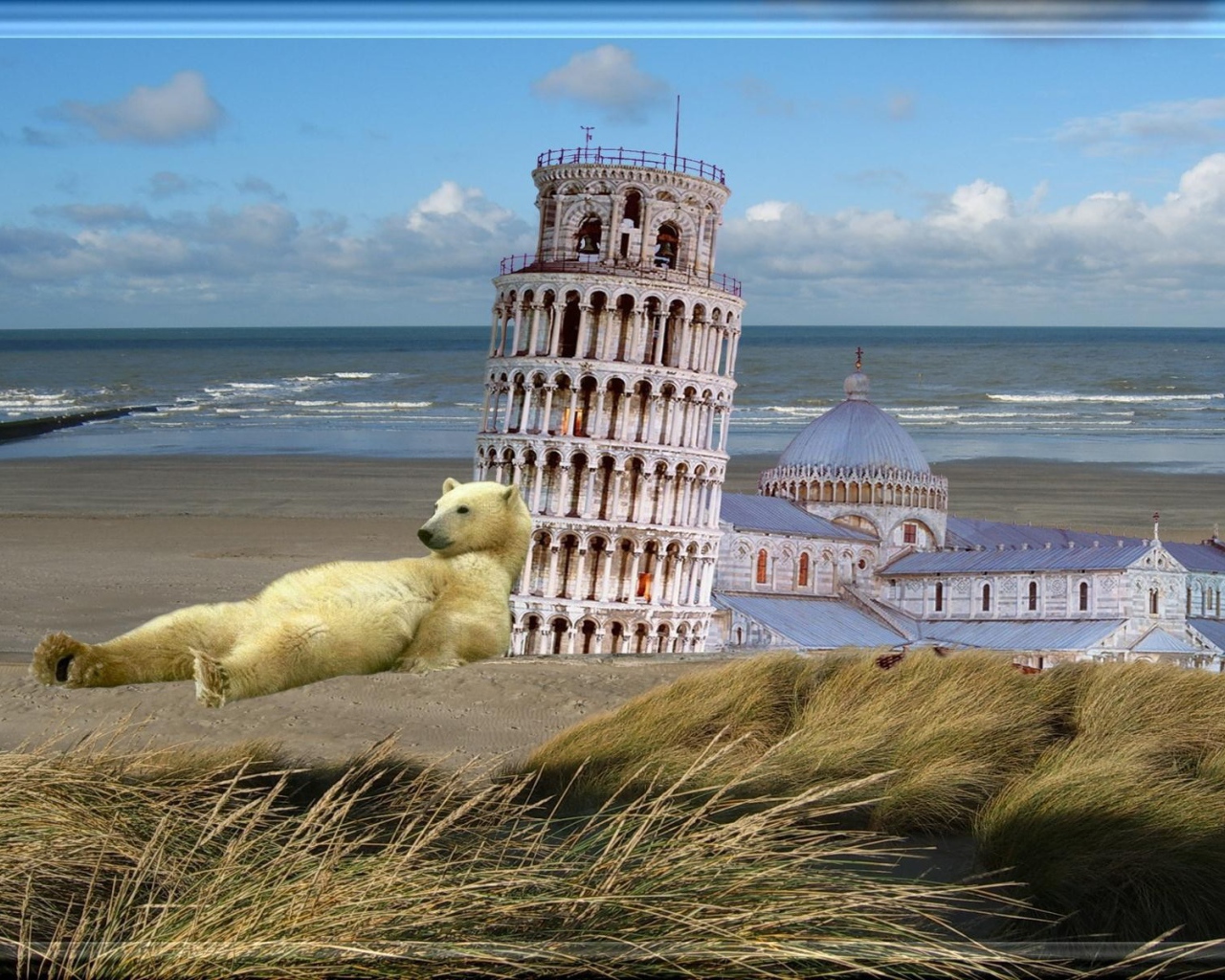 Белый медведь у Пизанской башни