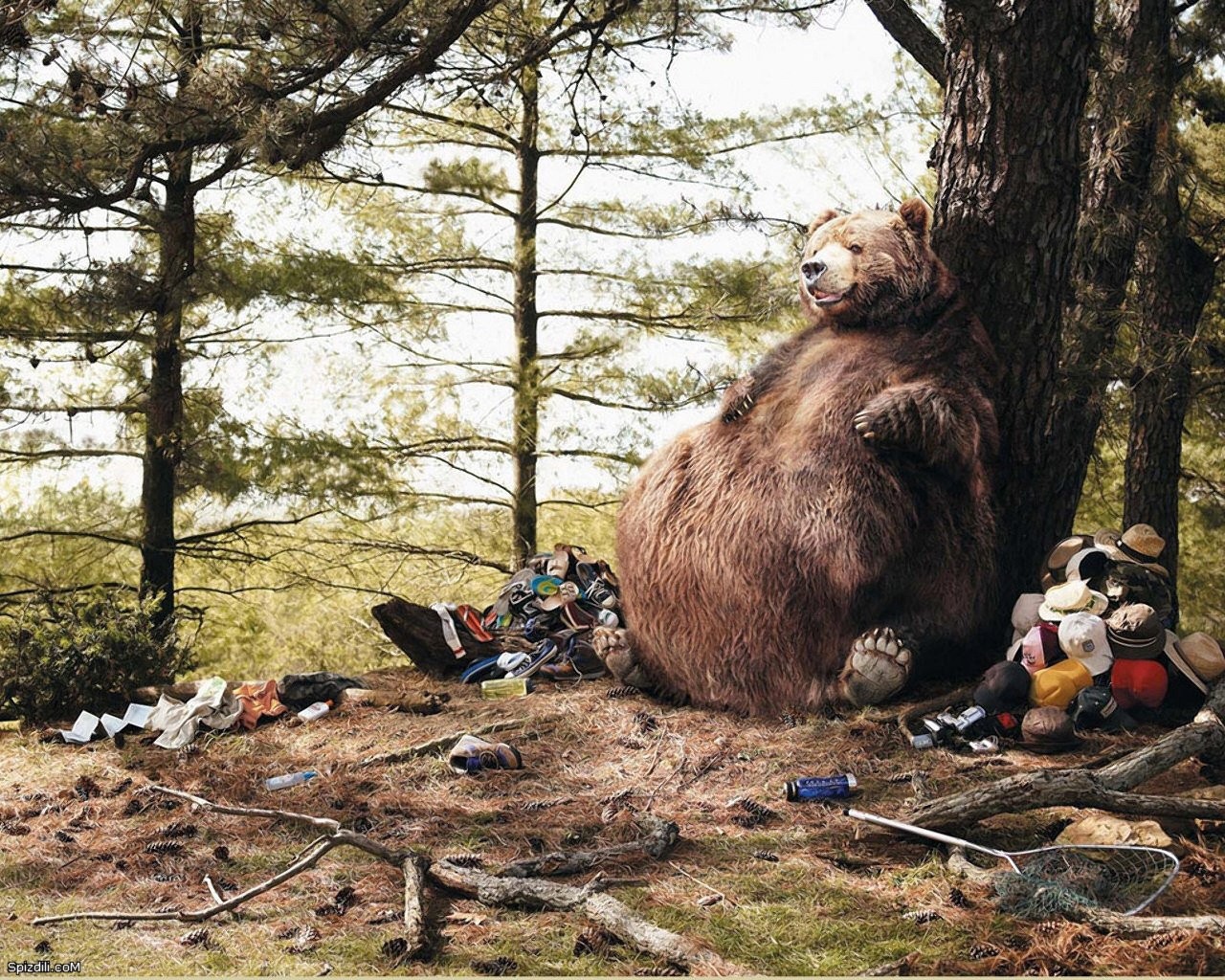 Толстый медведь сидит у дерева