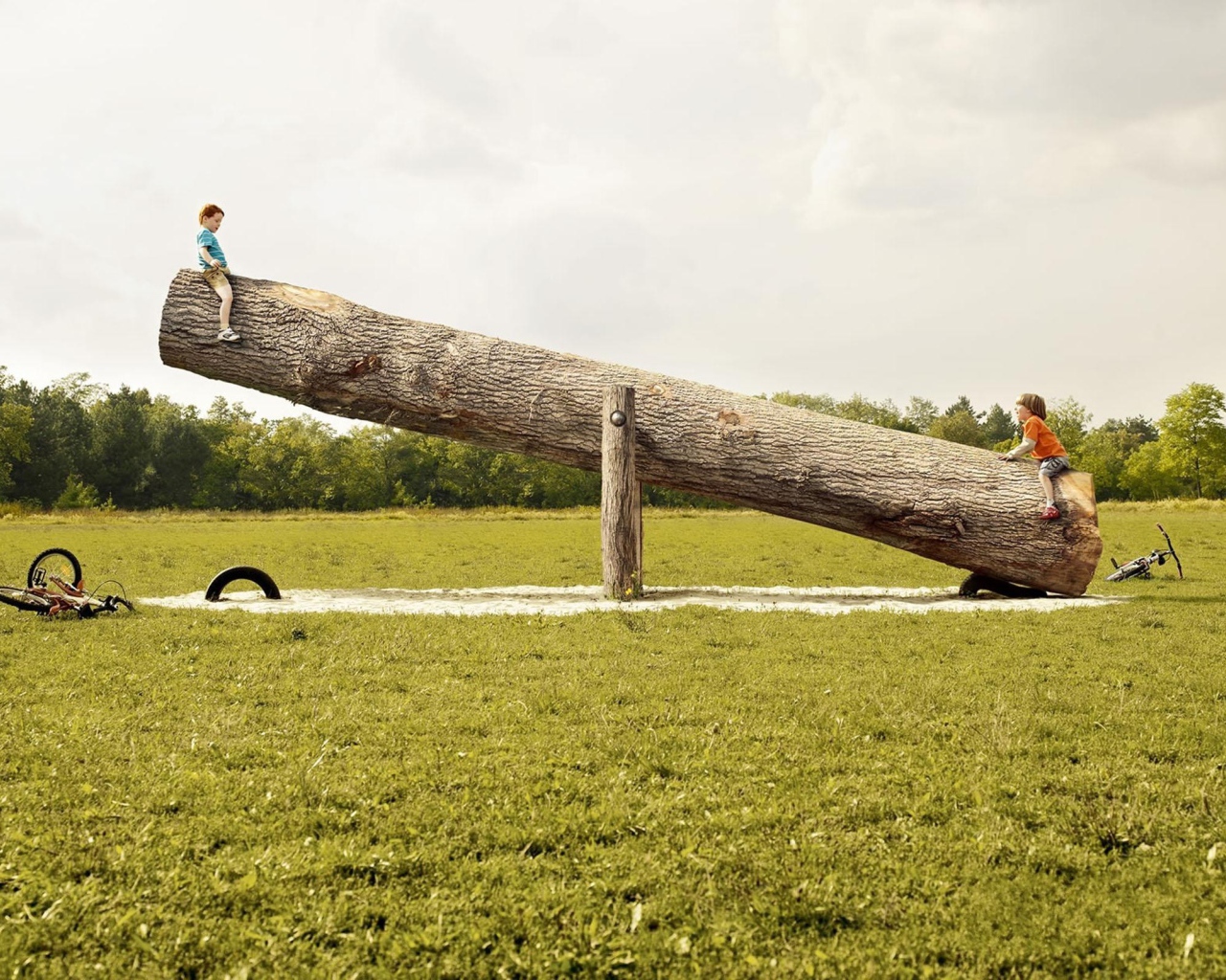 Маленькие дети на большой качели