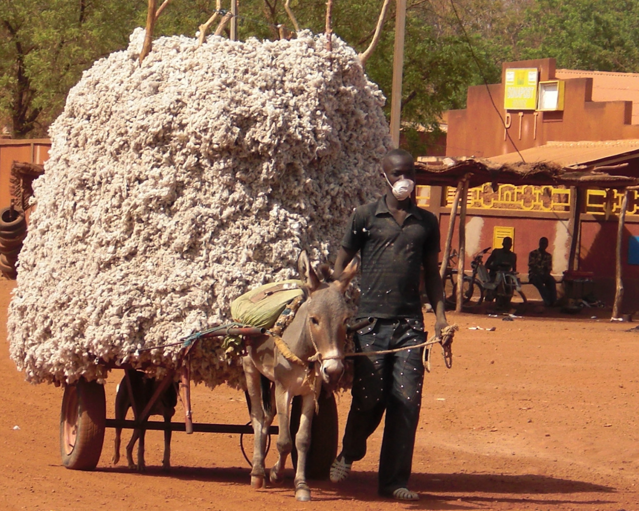 Маленький осел везет большой воз