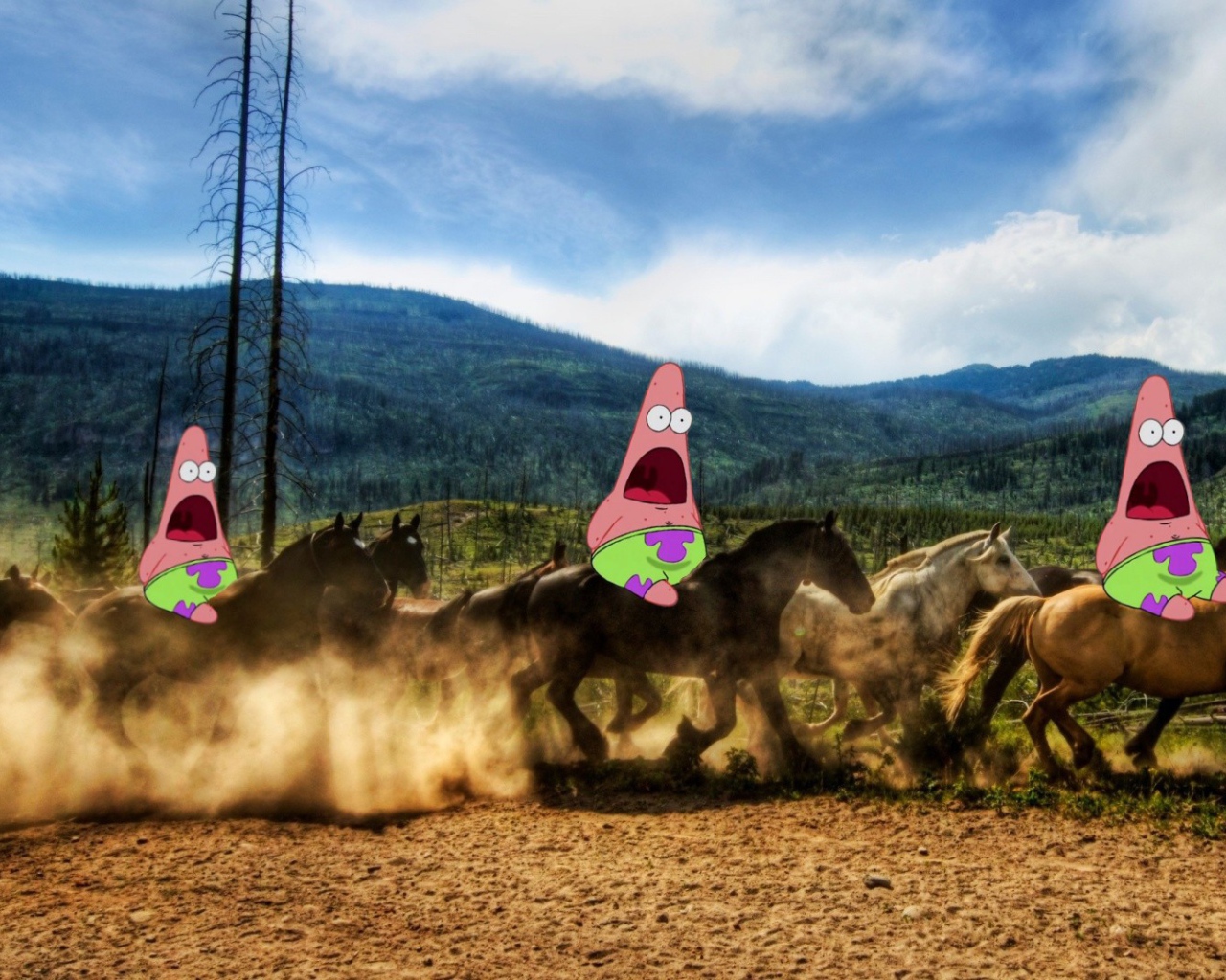 Патрик на лошадях