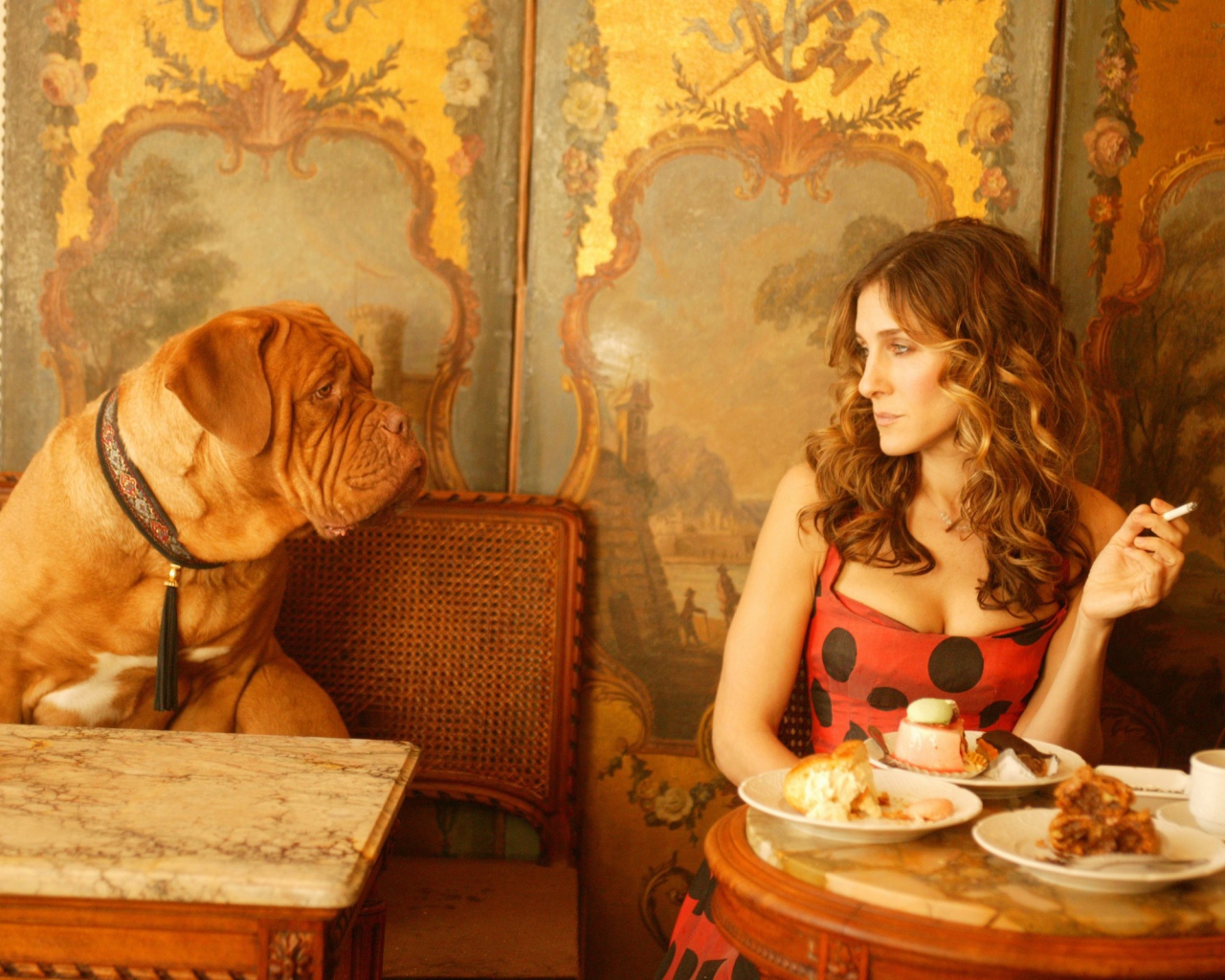 Собака просит еще еды