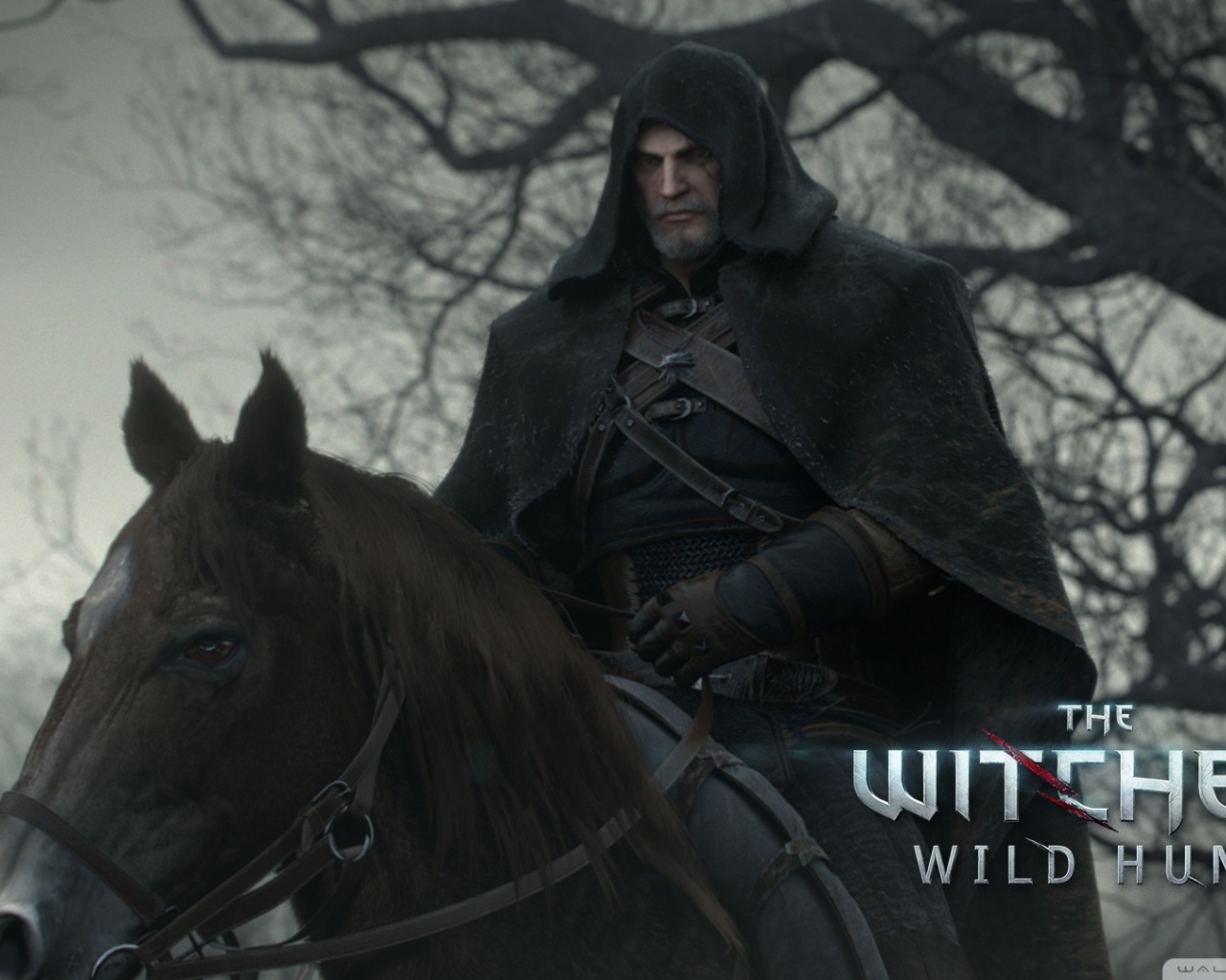 Всадник из игры Ведьмак