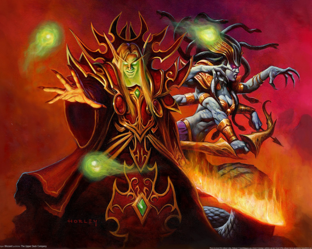 Колдун из видео игры