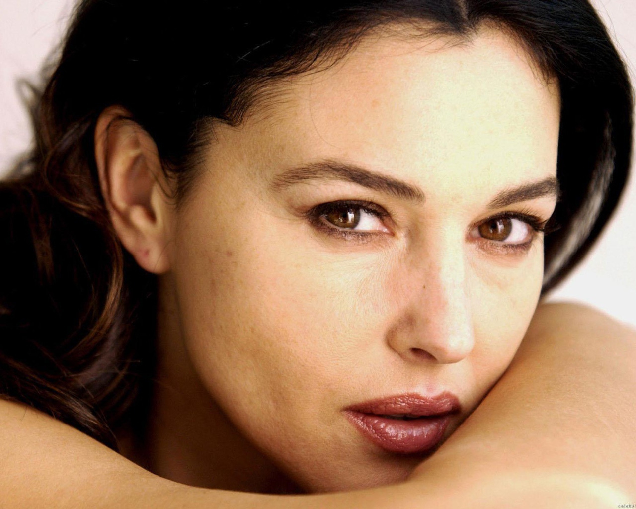 Красивая актриса Моника Беллуччи