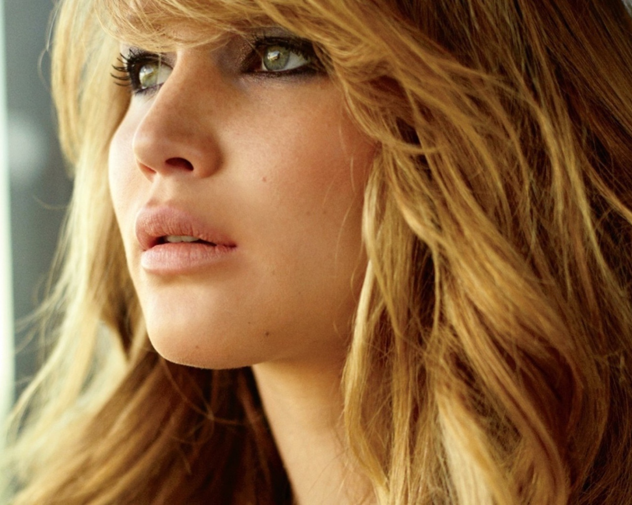 Знаменитая Дженнифер Лоуренс