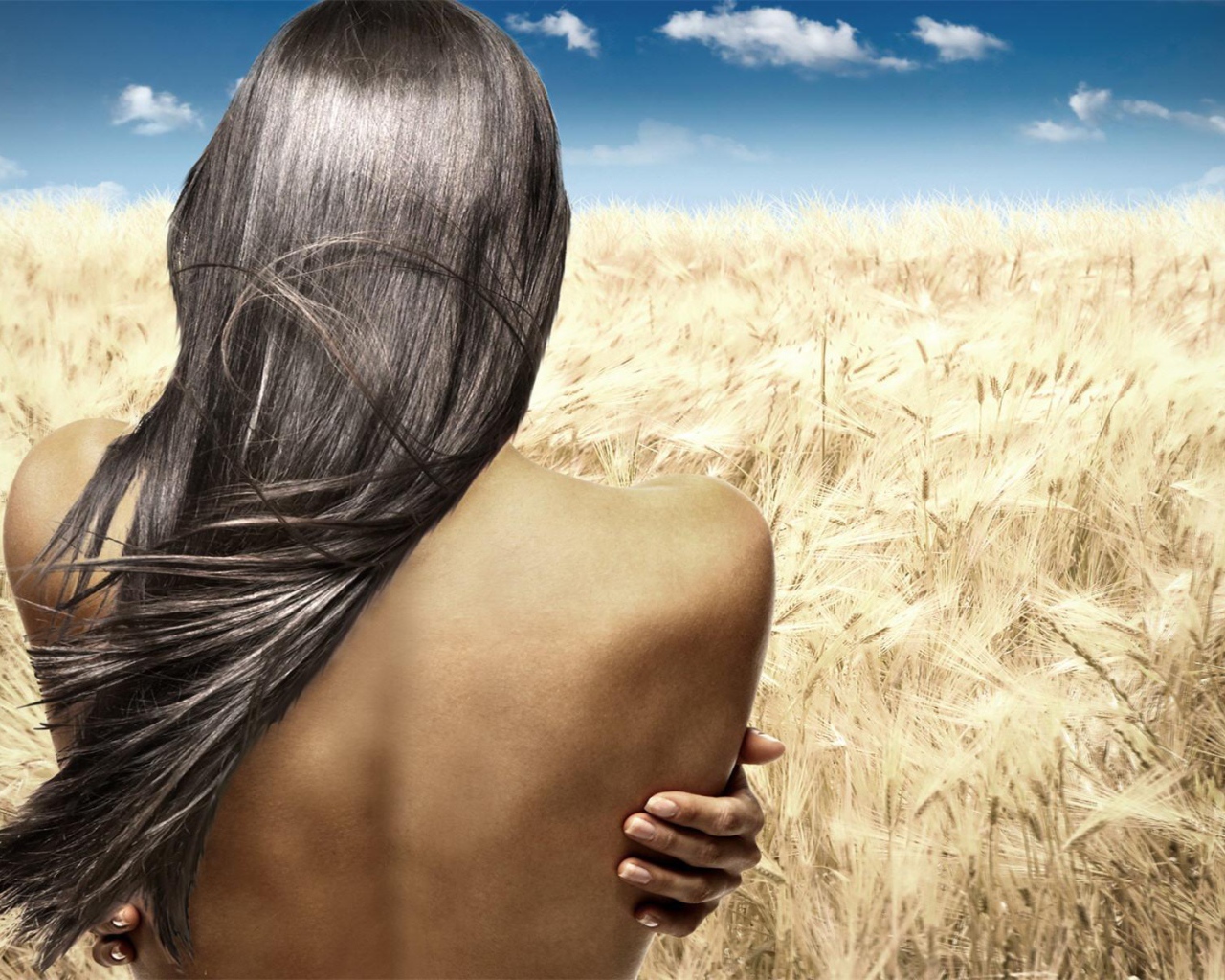 Девушка в ржаном поле