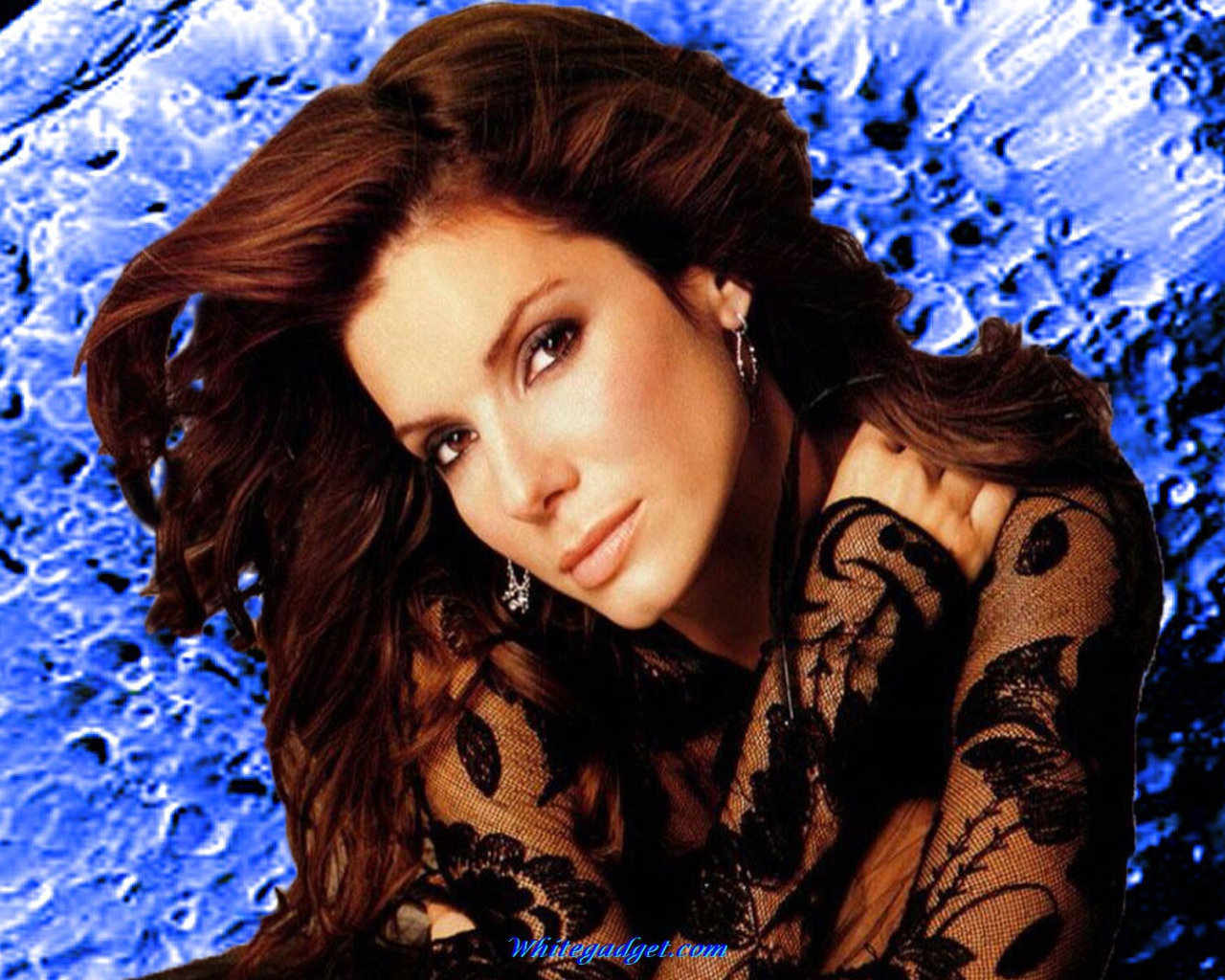 Популярная Сандра Баллок