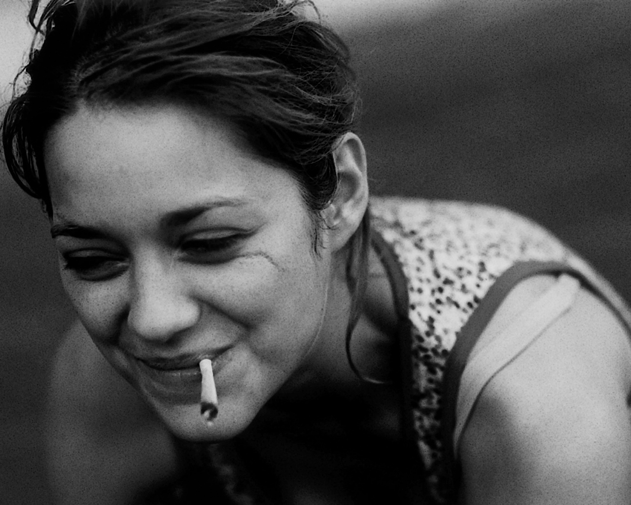 Красивая актриса Марион Котийяр