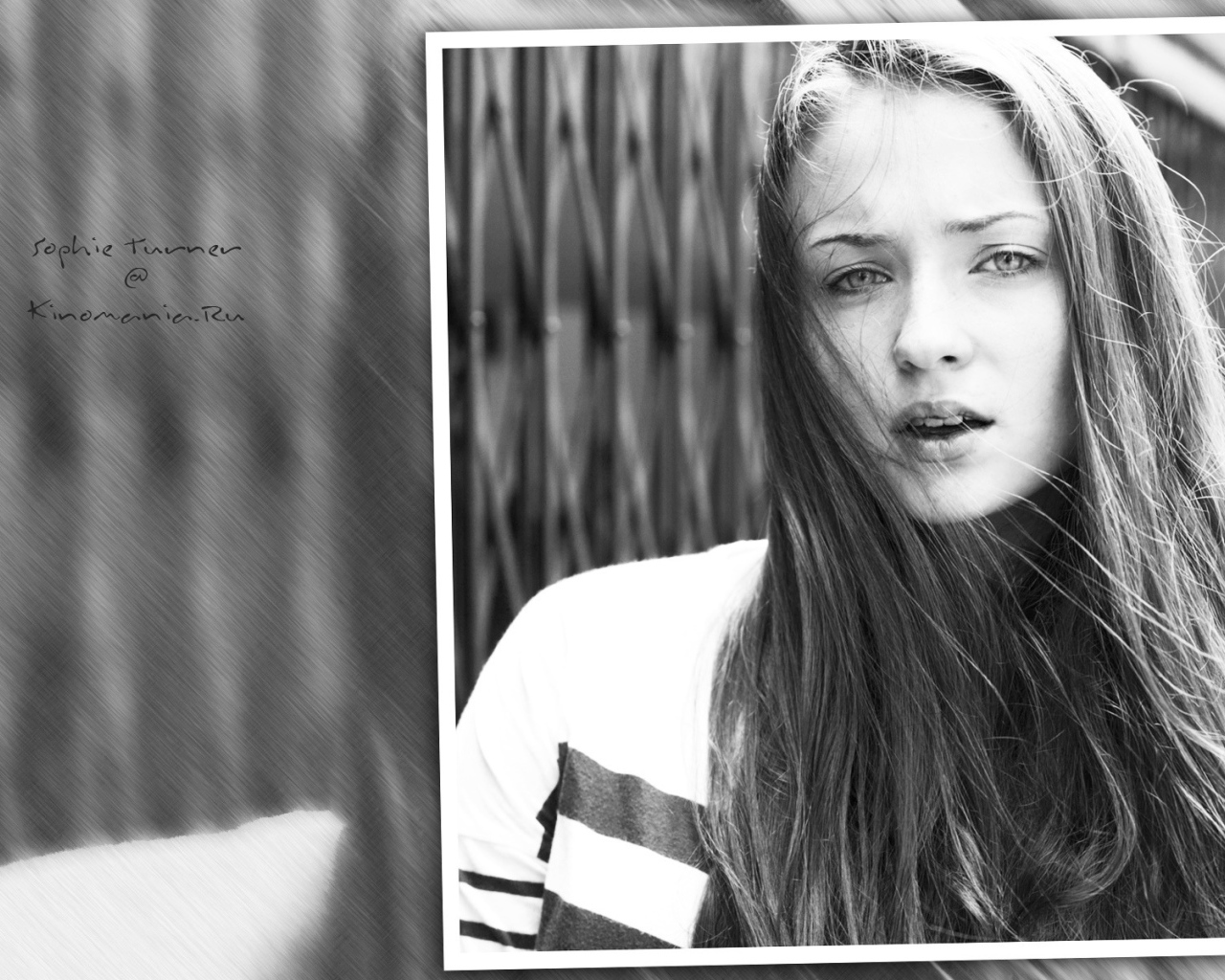 Известная звезда Софи Тернер