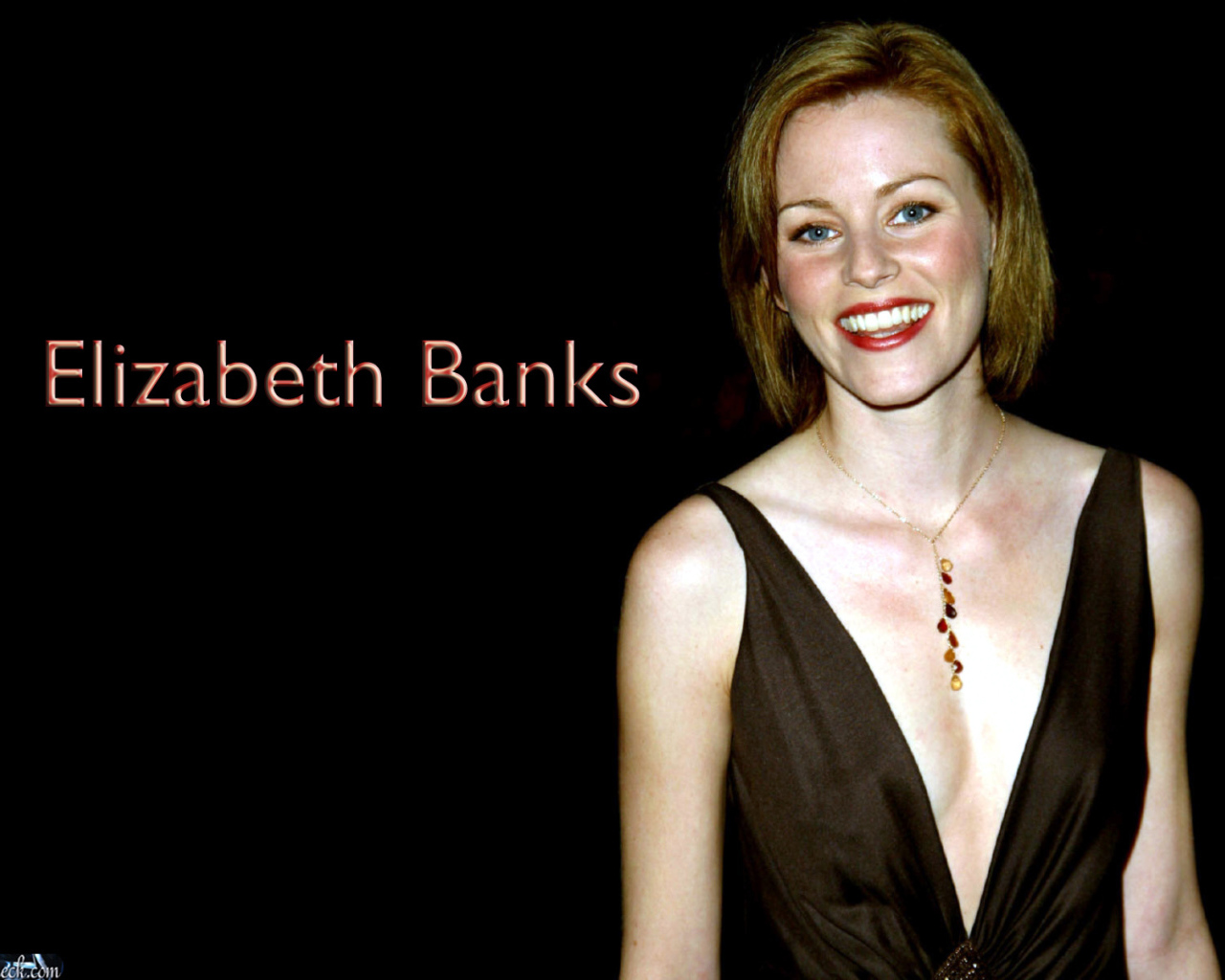 Популярная модель Элизабет Бэнкс