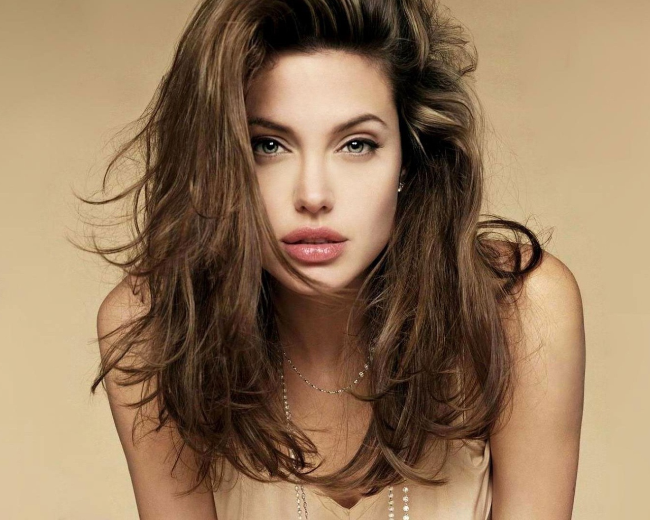 Ангелина Джоли с распущенными волосами
