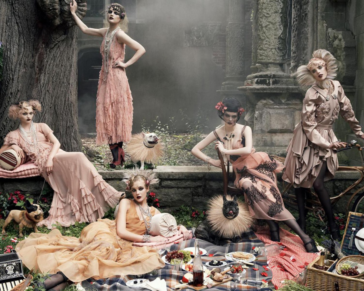 Девушки на пикнике