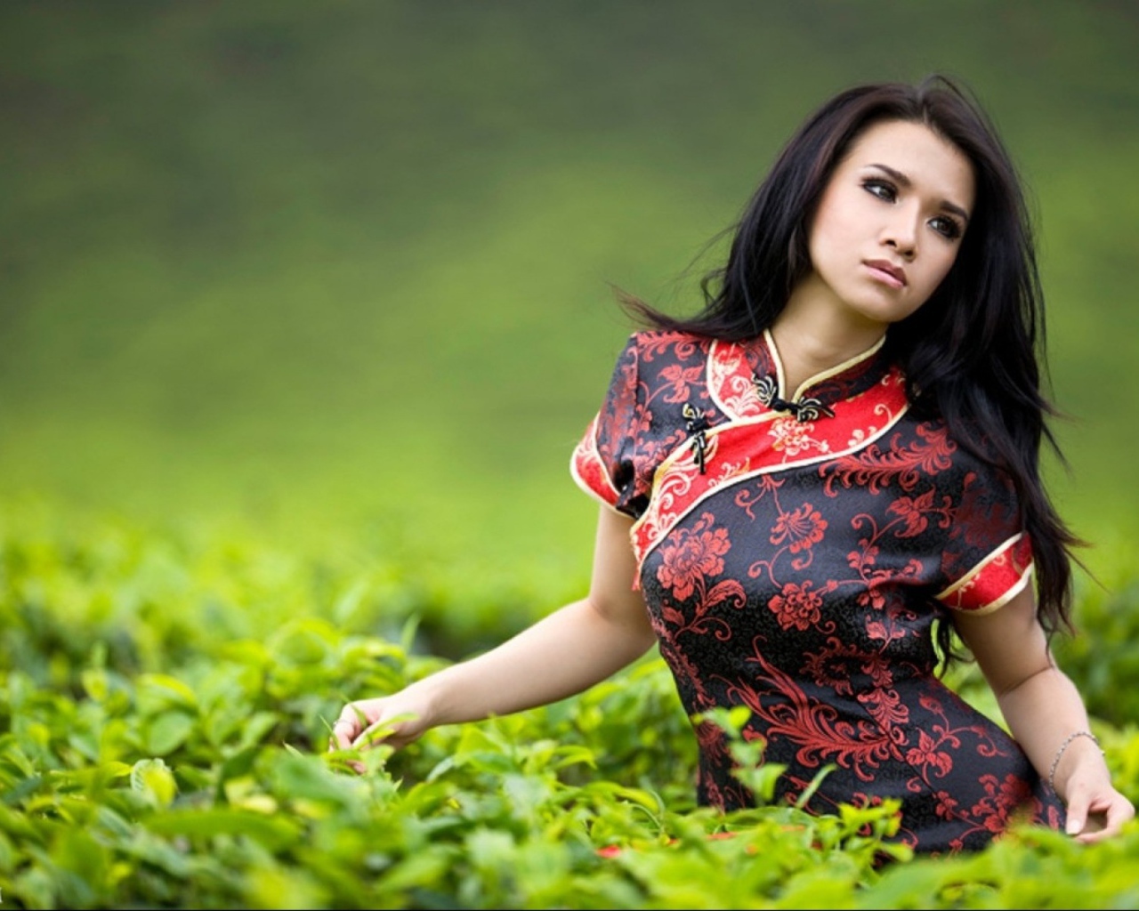 Девушка на чайной плантации