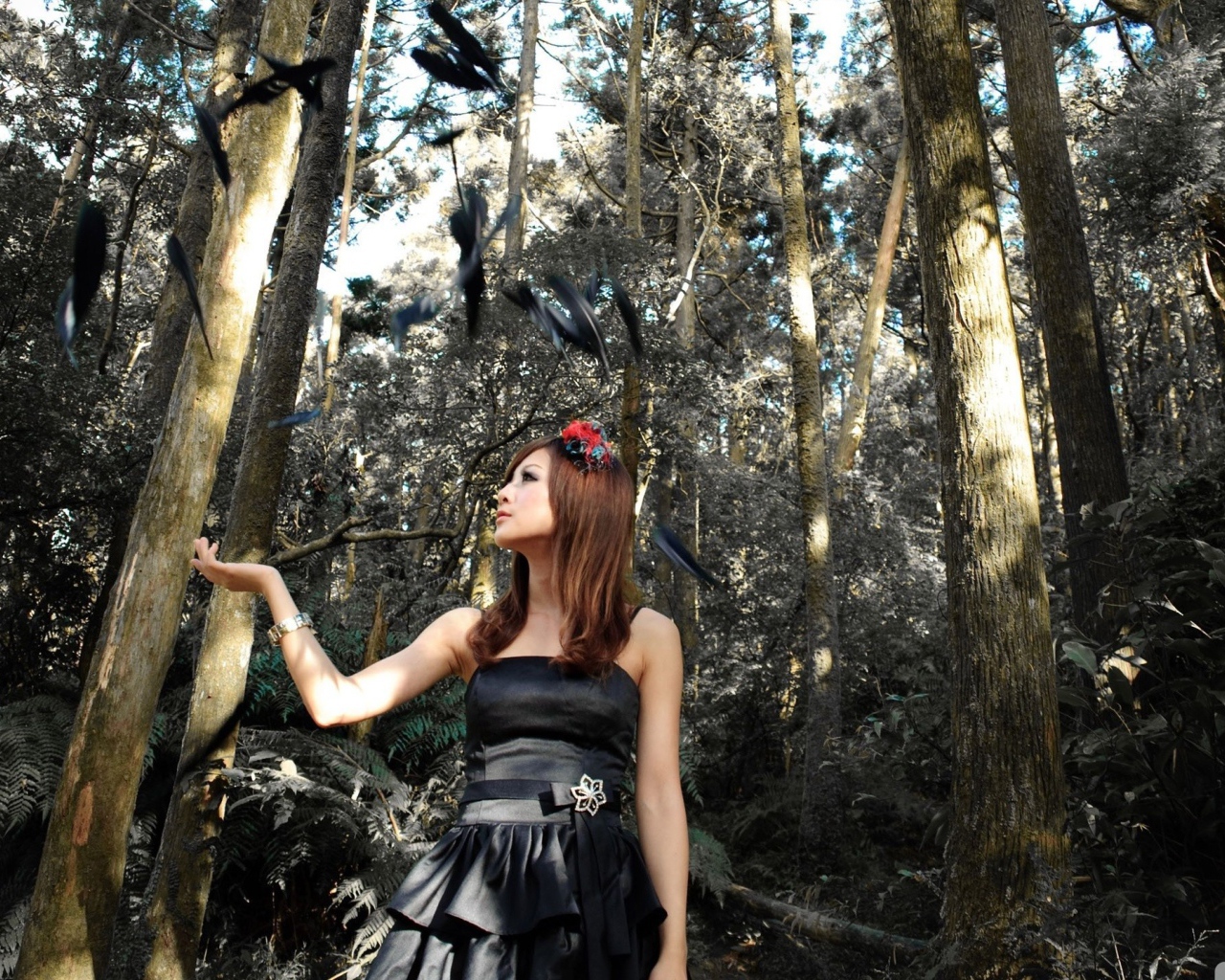 Девушка и черные перья