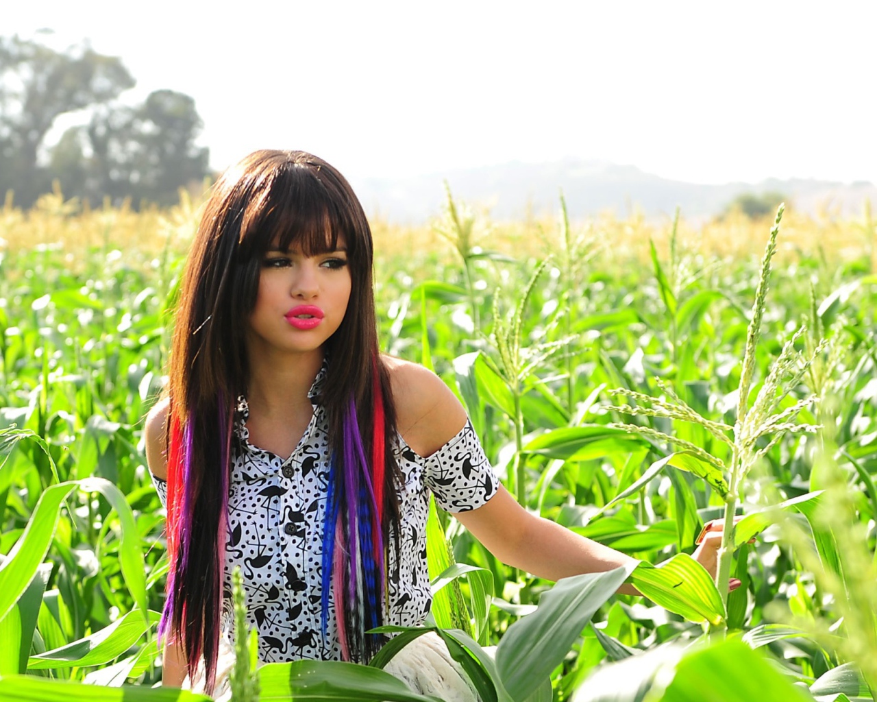 Селена Гомез в кукурузе