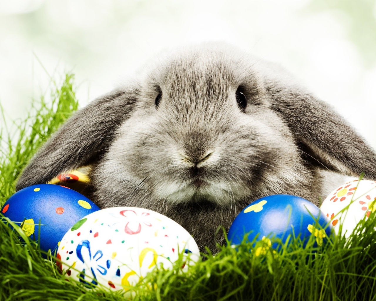 Кролик и пасхальные яйца