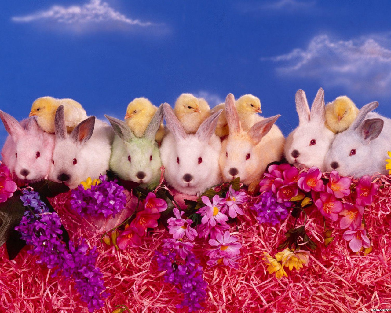 Цыплята и кролики на Пасху