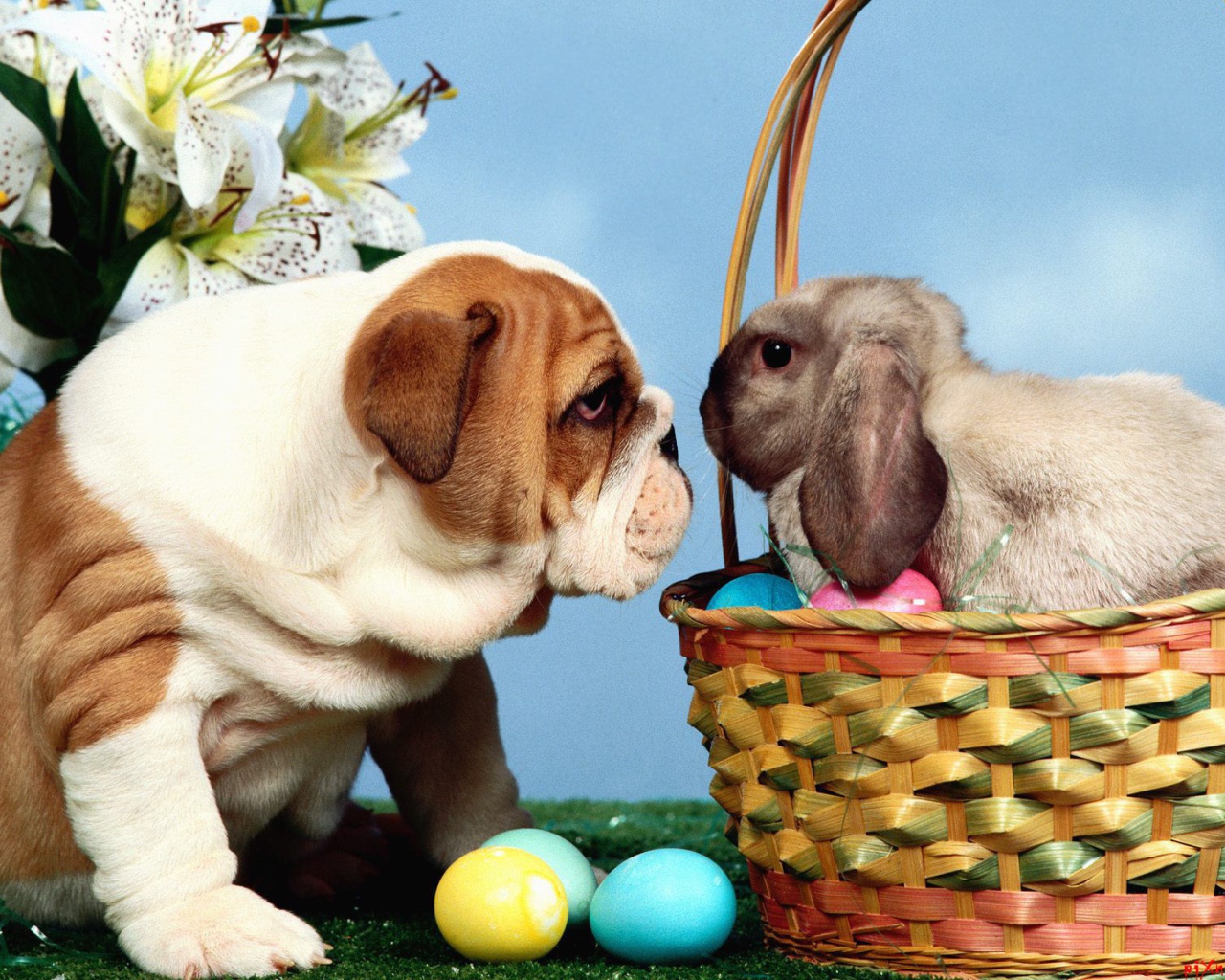 Собака и кролик на Пасху