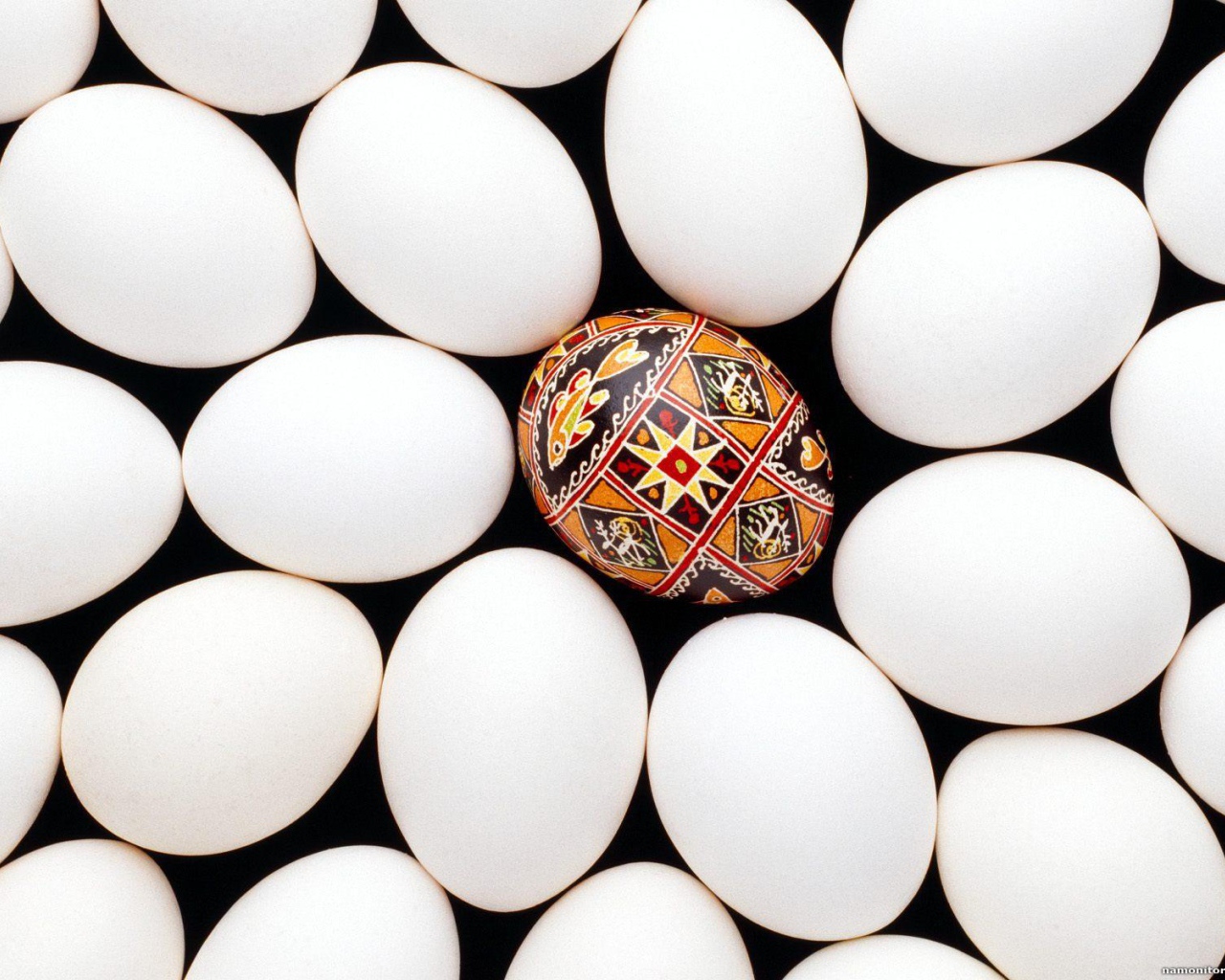 Крашенное яйцо среди белых на Пасху