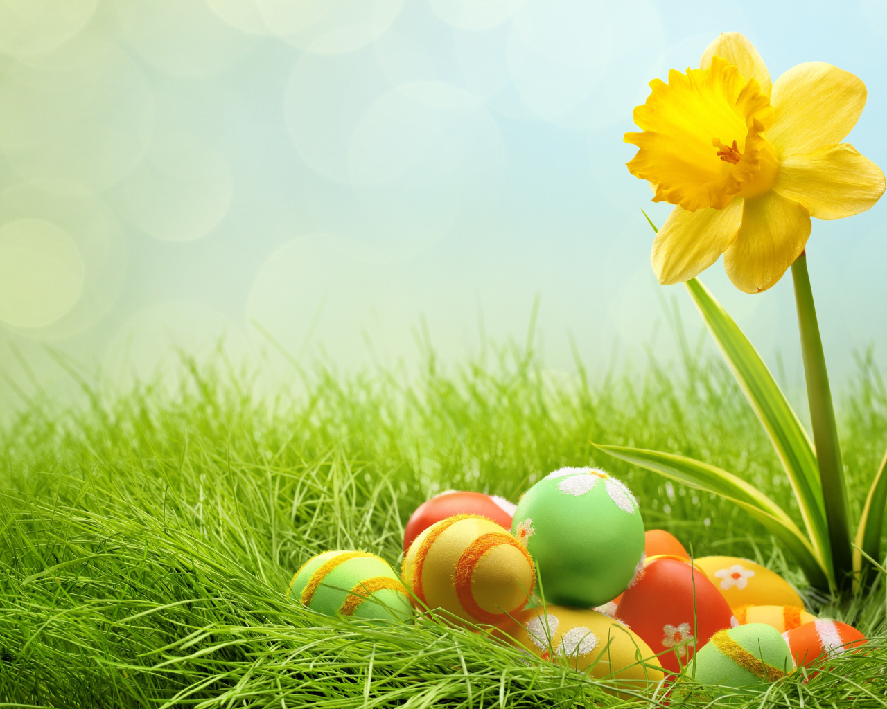 Яйца и желтый цветок на Пасху