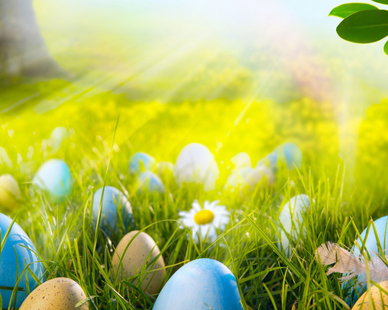 Яйца на лугу на Пасху
