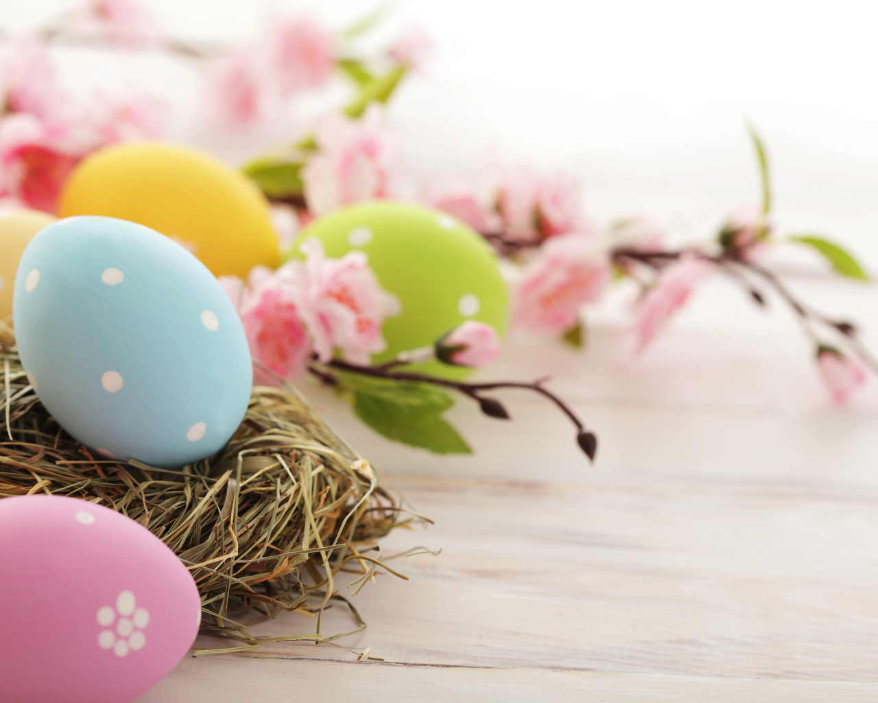 Розовые цветы и яйца на Пасху