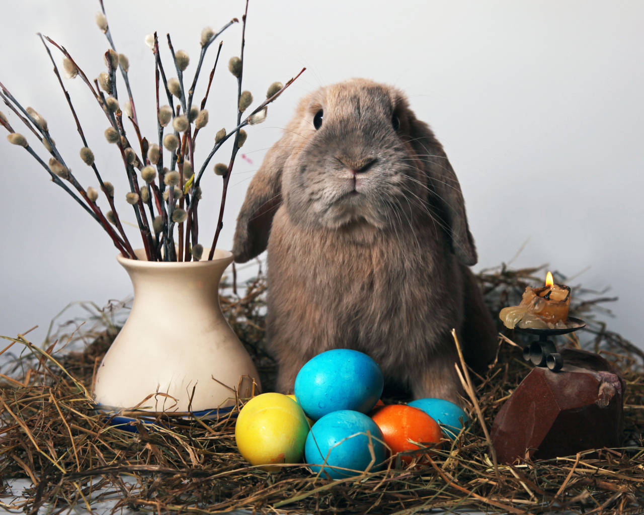 Кролик и мимоза на Пасху