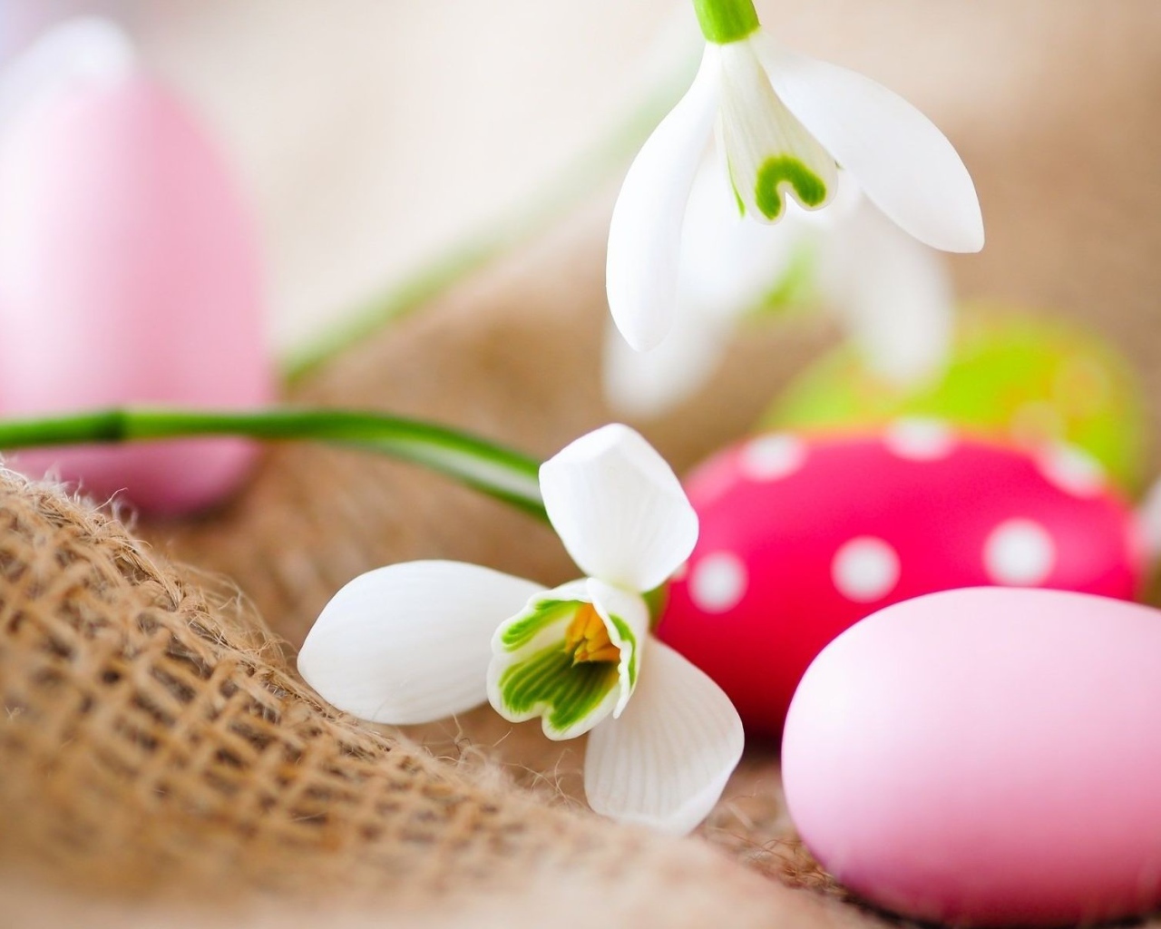 Белые цветы и яйца на Пасху