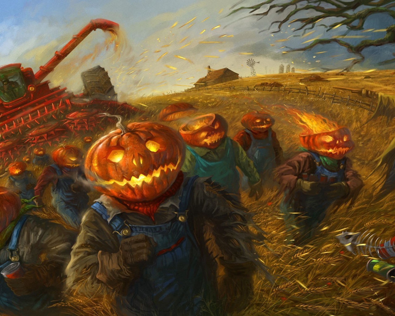 Тыквы убирают урожай