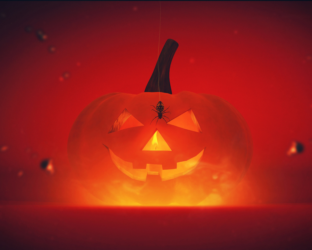 Паук на тыкве