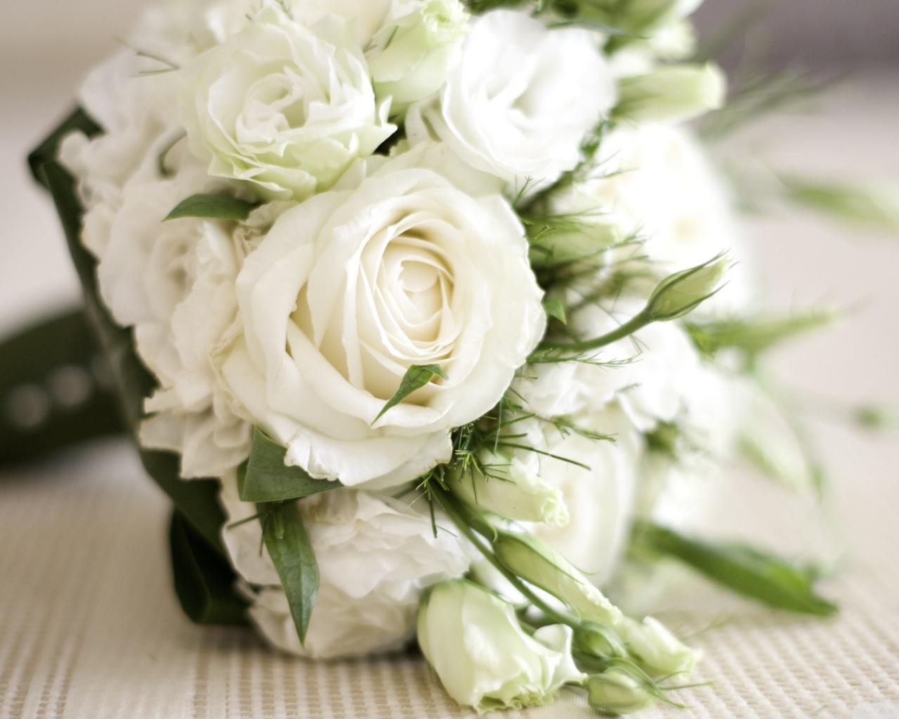 Красивые белые розы в подарок женщинам на восьмое марта