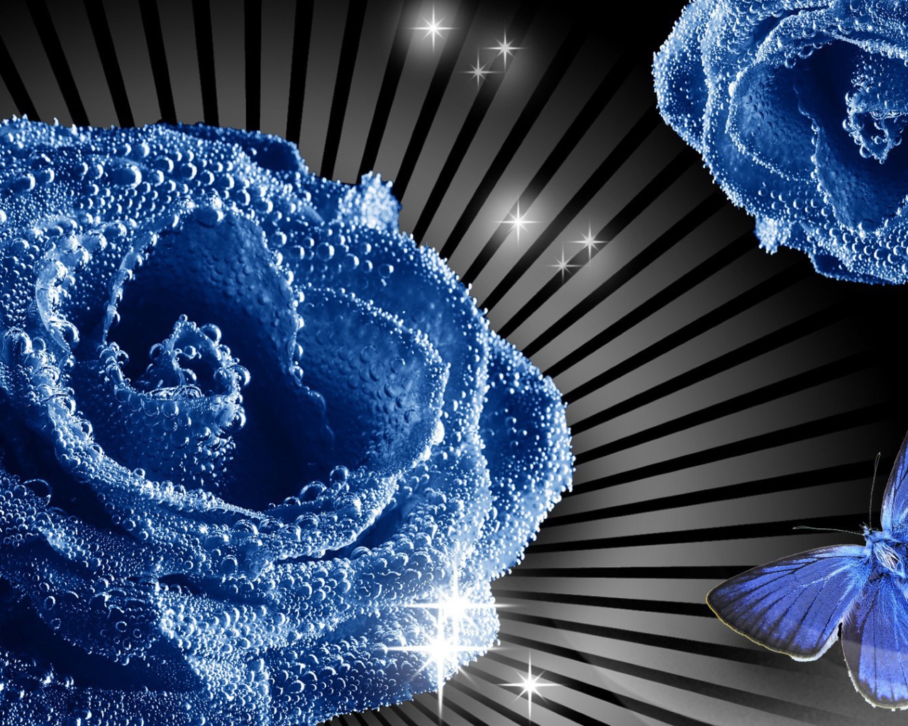 Синие роза и бабочка, картинка на восьмое марта