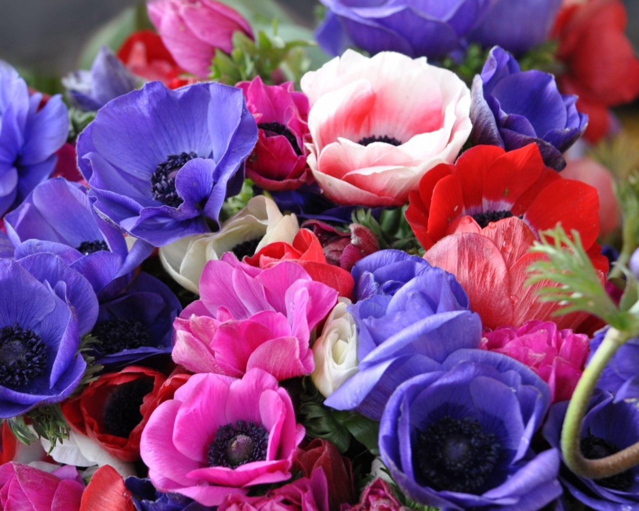 Яркий букет на восьмое марта