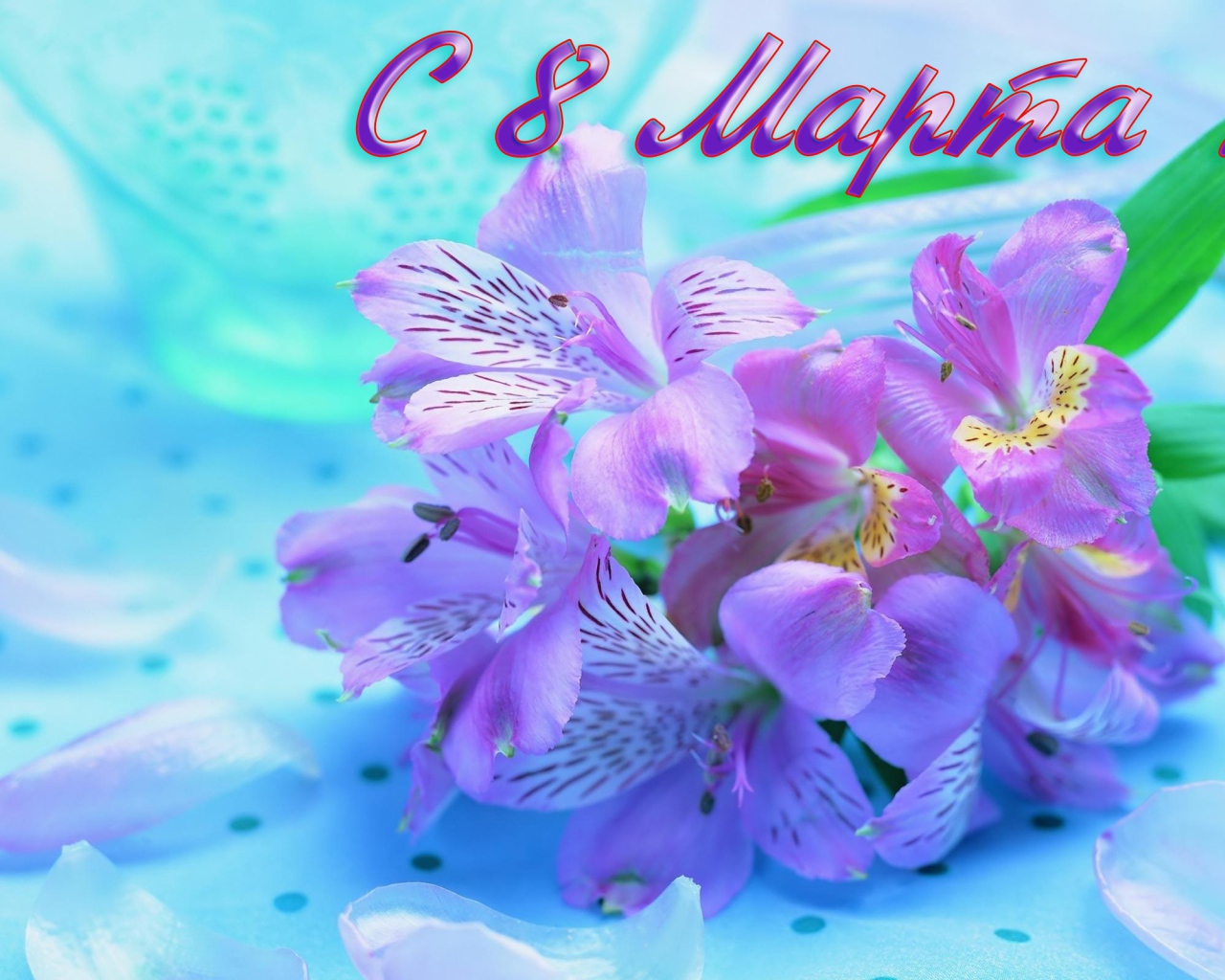 Сиреневые цветы на 8 марта
