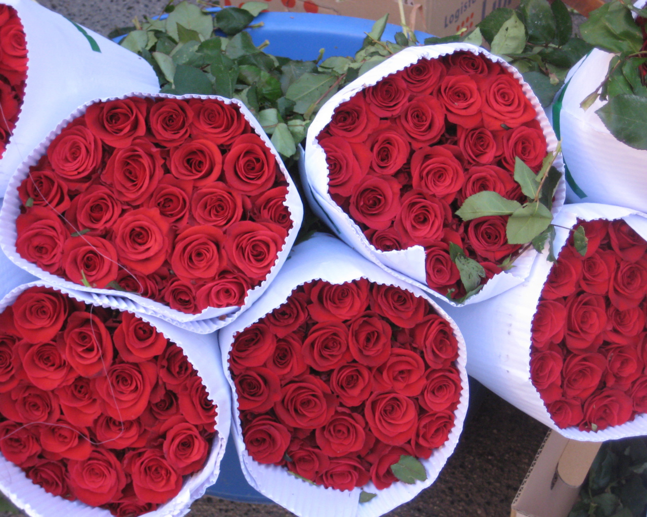 Роскошные букеты красных роз на 8 марта