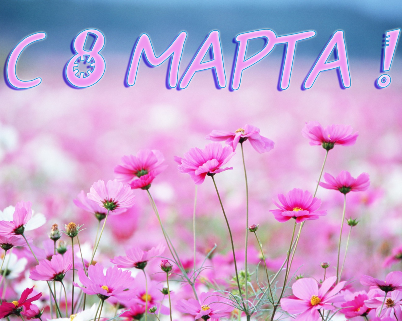 Луговые цветы на 8 марта