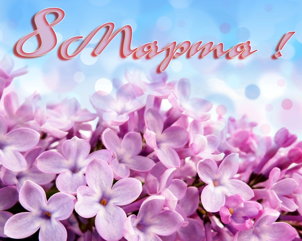 Первоцвет на 8 марта