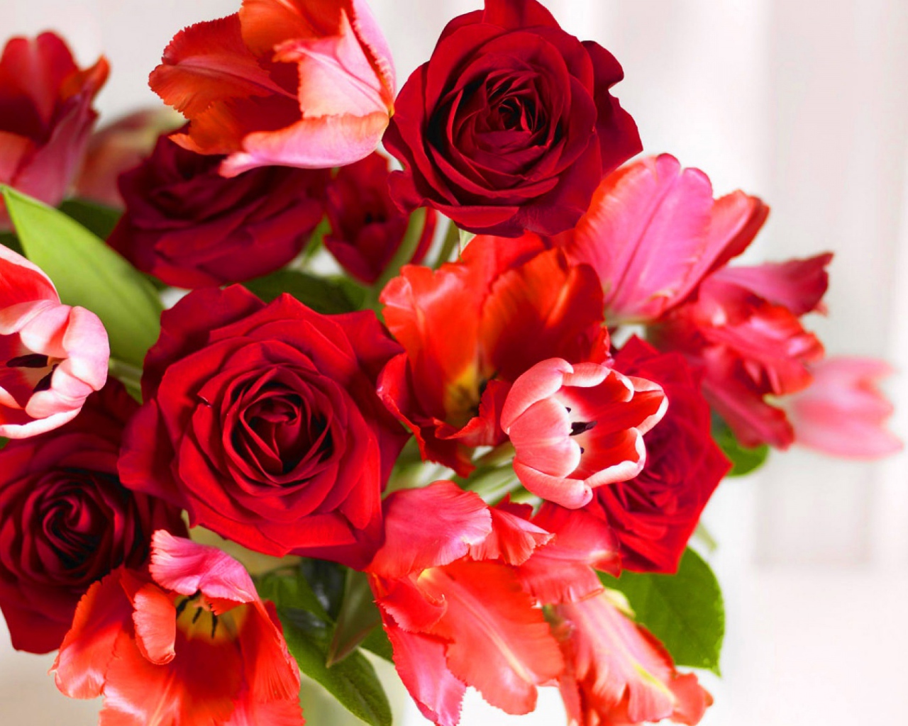 Красные розы и красные тюльпаны в подарок на восьмое марта