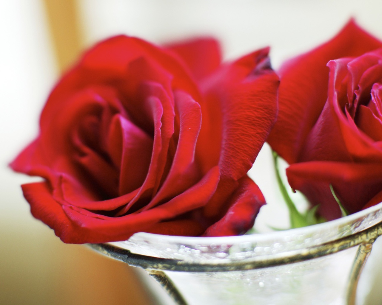 Красные розы в стеклянной вазе на восьмое марта