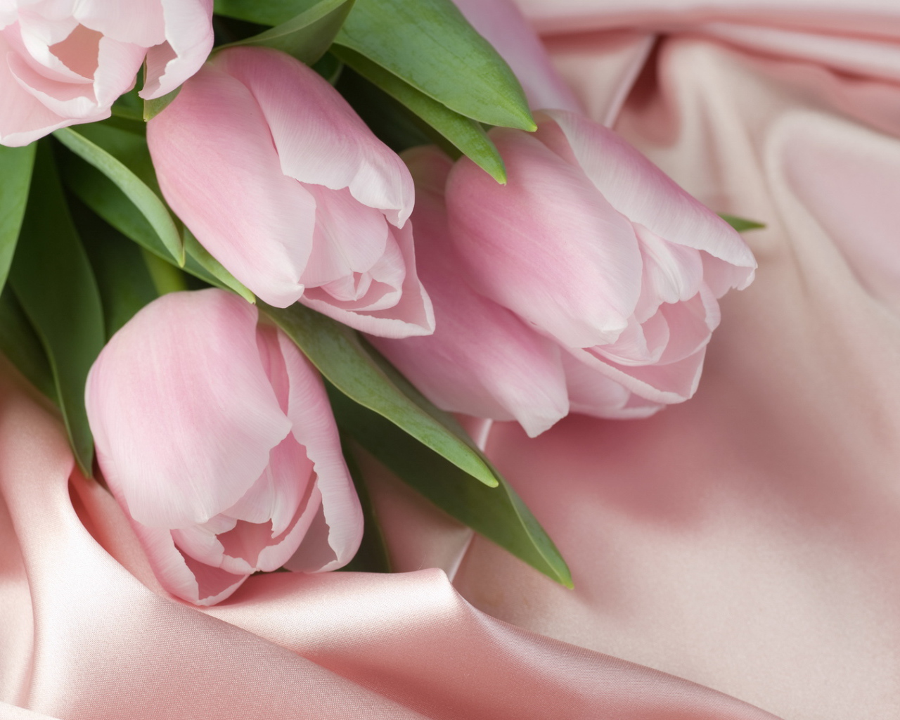 Тюльпаны и шелк на 8 марта