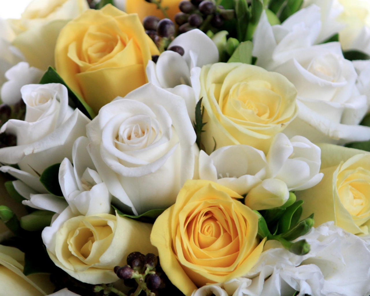 Белые и жёлтые розы в букете на восьмое марта