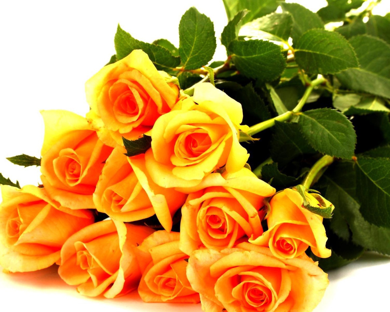 Жёлтые розы в букете для любимой дамы