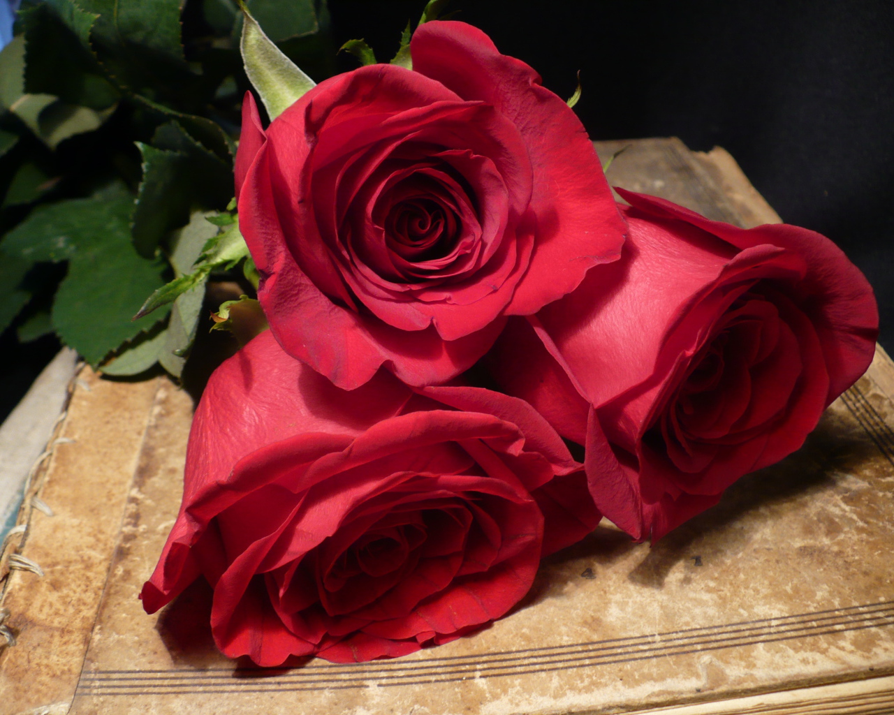 Красные розы на 8 марта для лучшей девушки