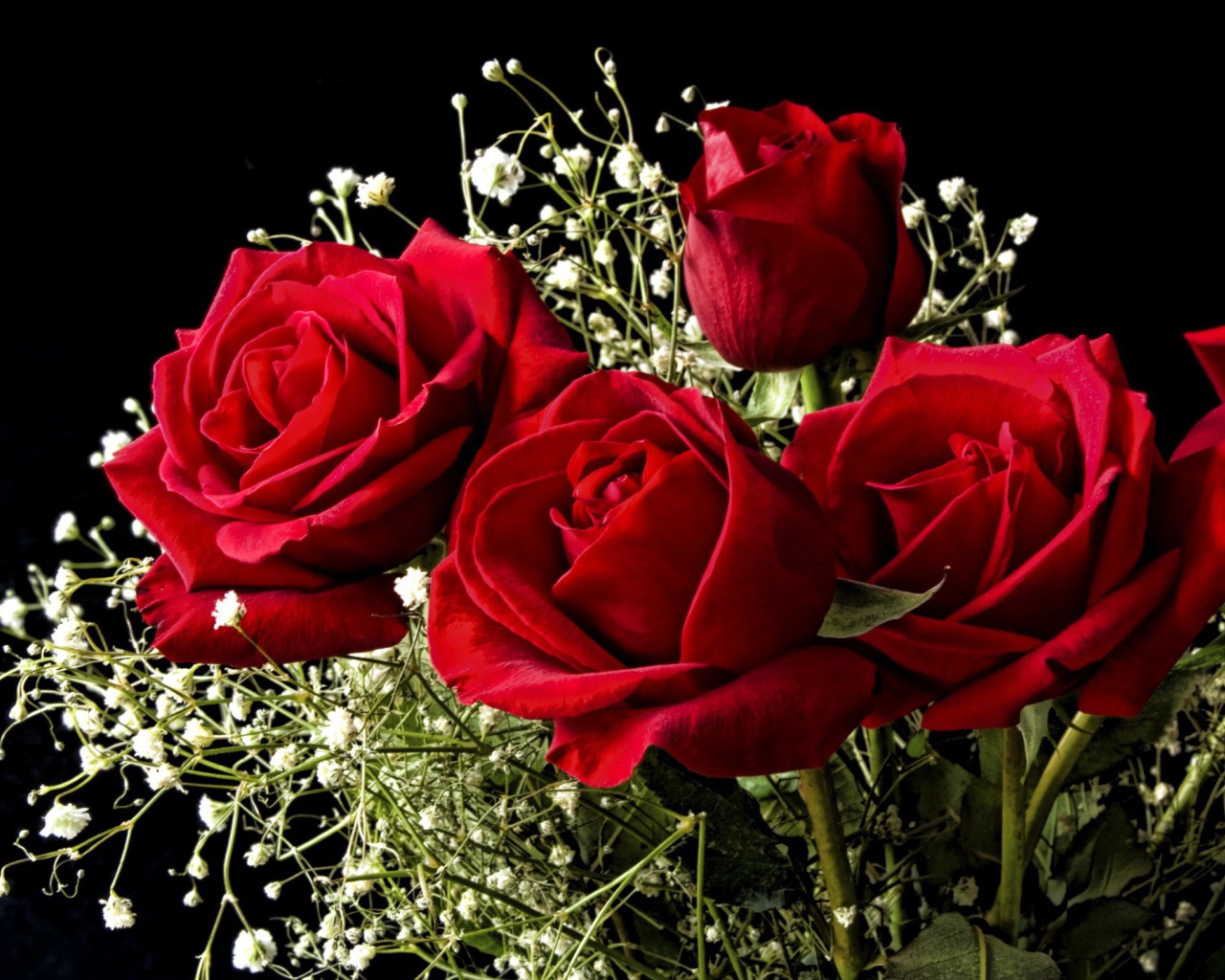 Красные розы на 8 марта на черном фоне