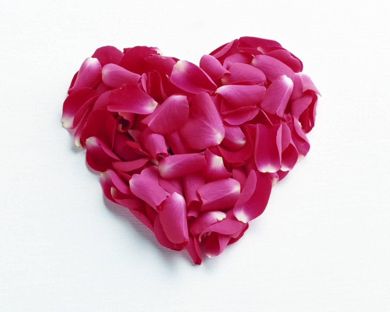 Сердце из красных лепестков на День Влюбленных 14 февраля