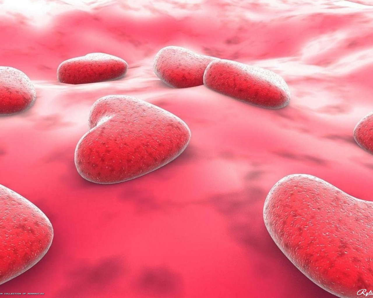 Сердца на розовом фоне на День Святого Валентина 14 февраля