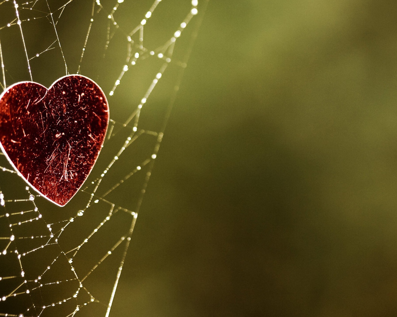 Сердечко на паутине