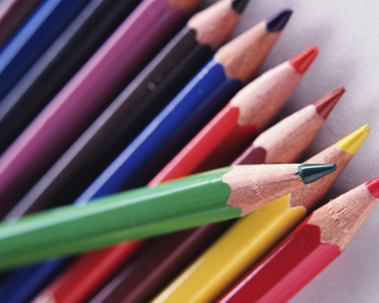 Карандаши в День знаний 1 сентября