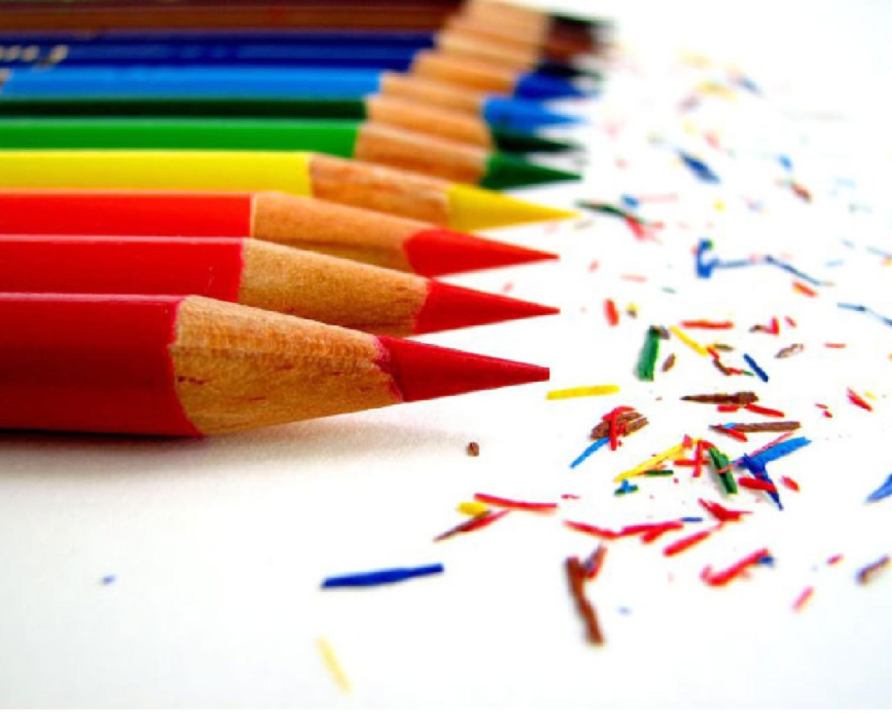 Заточенные карандаши в День знаний 1 сентября